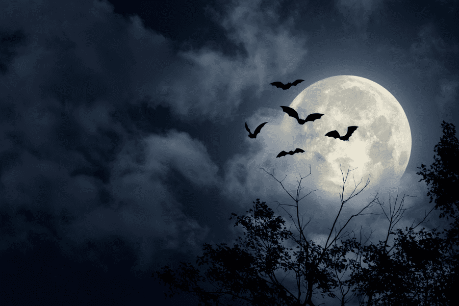 5 haunted places to visit by bus