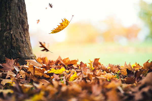 Ways to give yourself a boost this World Mental Health Day